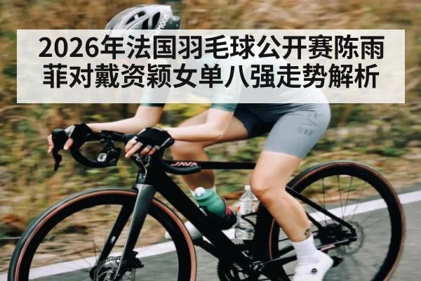 2026年法国羽毛球公开赛陈雨菲对戴资颖女单八强走势解析